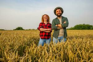 familia agrícola ocupación. hombre y mujer son cultivando trigo. ellos son satisfecho con bueno Progreso de plantas. foto