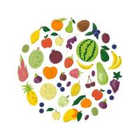 Round shaped concept with different exotic fruits vector