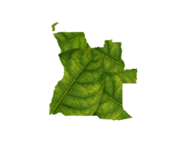 Angola Karte gemacht von Grün Blätter, Konzept Ökologie Karte Grün Blatt png
