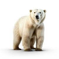 Polar bear isolated on white background. 3D illustration. Studio. AI Generative photo