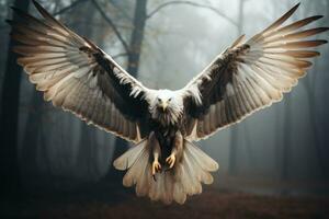 calvo águila Haliaeetus leucocéfalo americano águila volador en el brumoso bosque. filtrado imagen procesada Clásico efecto. ai generativo foto