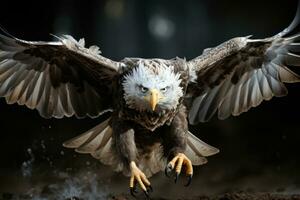 calvo águila Haliaeetus leucocéfalo americano águila volador en el brumoso bosque. filtrado imagen procesada Clásico efecto. ai generativo foto