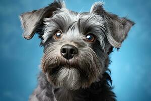 Portrait of a cute mixed breed dog on a blue background. AI Generative photo