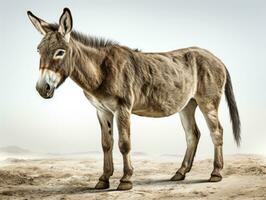 Portrait of a donkey on a gray background. Close-up. AI Generative photo