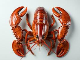 Crawfish on white background. Clipping path included for easy editing. AI Generative photo