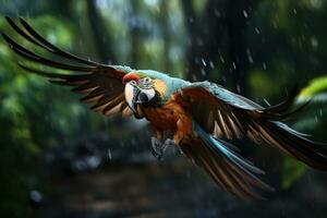 Beautiful Scarlet macaw parrot in the forest. close-up. AI Generative photo