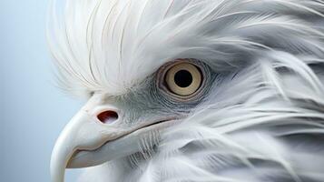 Close-up portrait of a white bird with a yellow eye. AI Generative photo