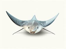 3D rendered illustration of a stingray isolated on white background. AI Generative photo