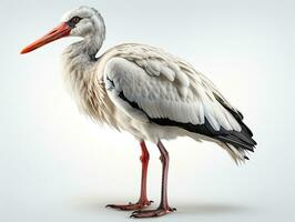 White stork on a gray background. 3d rendering, illustration. AI Generative photo