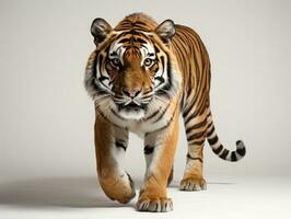 Siberian Tiger. Isolated on white background. 3d illustration. AI Generative photo