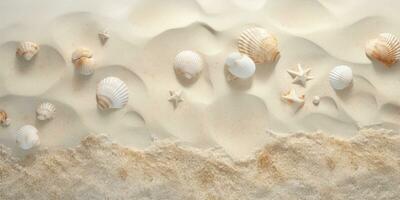 Aerial view of beautiful tropical beach with white sand and sea shells. Beach sand background with seashells and sand. Top view. AI Generative photo