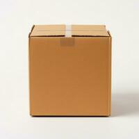 Brown cardboard box isolated on a white background. photo