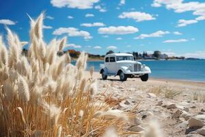 White dandelions on the beach with a white classic car in the background. Fluffy dandelion flower on the beach with blue sky and white clouds. photo