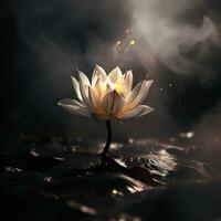 Beautiful yellow lotus flower on the swamp, water with dark background.   Mystic white lotus flower in the pond with smoke and fire. photo