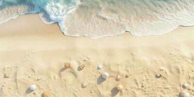 Seashells on the sandy beach in summer. Aerial view.  Top view of sand beach and sea wave with white sand background. photo