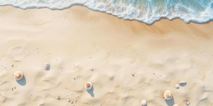 Seashells on the sandy beach in summer. Aerial view.  Top view of sand beach and sea wave with white sand background. photo