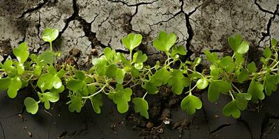 joven planta creciente en el suelo. concepto de nuevo vida y agricultura. seco tierra con agrietado suelo y verde plantas. 3d prestar. ai generado foto