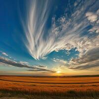 Sunset over the wheat field.   Sunset over wheat field. Dramatic sky. Beauty world. AI generated photo