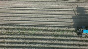 Potato harvesting machine on the farmland, aerial video