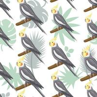 Seamless pattern with cartoon grey cockatiels sitting on branches. Flat little colorful exotic Australian love parrots with tropical leaves. Vector illustration with birds. Domestic pets.