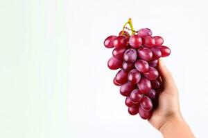 Hand holding a bunch of red grapes isolated on a white background with copy space. ai generated photo