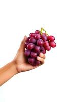 Hand holding a bunch of red grapes isolated on a white background. ai generated photo