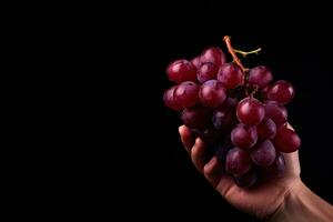 Hand holding a bunch of red grapes isolated on a black background with copy space. ai generated photo