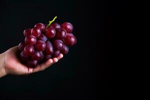 Hand holding a bunch of red grapes isolated on a black background with copy space. ai generated photo