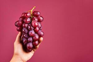 mano participación un manojo de rojo uvas aislado en un rojo antecedentes con Copiar espacio. ai generado foto