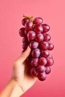 Hand holding a bunch of red grapes isolated on a red background. ai generated photo