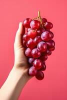 Hand holding a bunch of red grapes isolated on a red background. ai generated photo