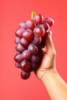 Hand holding a bunch of red grapes isolated on a red background. ai generated photo