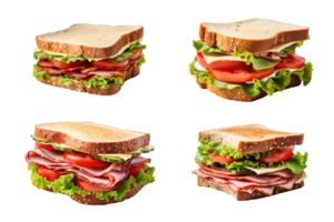 Collection of sandwich isolated on transparent background. ai generated png