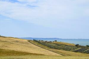 The landscape at the Cossack village - a museum Ataman. the village and the sea view from the heights of the hill. photo