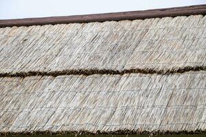 The slope of the roof of reeds and straw photo
