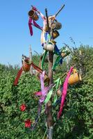 Stick with hung at her beer steins and ribbons photo