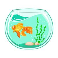 Goldfish in an aquarium. Cartoon illustration of an underwater pet. Aquarium isolated on white vector