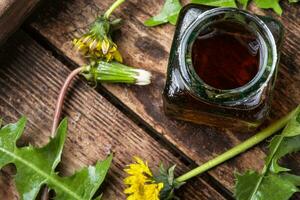 Dandelion tincture in bottle photo