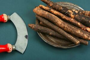 Salsify in folk medicine, salsify roots. photo