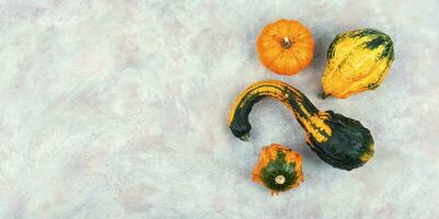 Autumn still life with pumpkins, space for text. photo