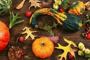 Autumn herbarium and pumpkins photo