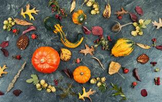 otoño calabazas, otoño cosecha. foto