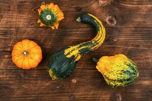 Autumn still life with pumpkins photo