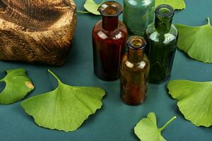 Ginkgo biloba leaves, homeopathy concept photo