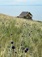 Lonely hut on the shore of Lake Baikal, Russia photo