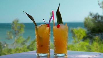 dois óculos do gelado fruta bebidas em mar fundo período de férias Tempo video