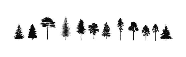 Set of pine tree silhouettes, forest trees vector