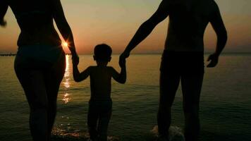 pais jogando bola com o filho no mar ao pôr do sol video