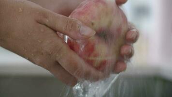 Washing the fruit before eating video