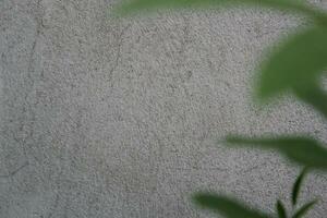 Blank cement wall surface with blurred green leaves, sand cement wall background with green leaf photo